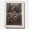 Alberto Carneiro ''Sinais e Sabedoria da Floresta'' Limited Signed Art 82Lx59Wcm