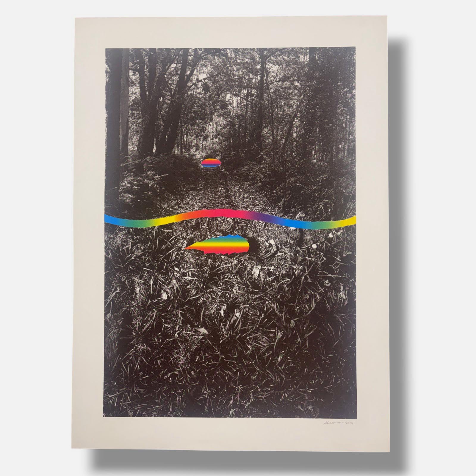 Alberto Carneiro ''Sinais e Sabedoria da Floresta'' Limited Signed Art 82Lx59Wcm