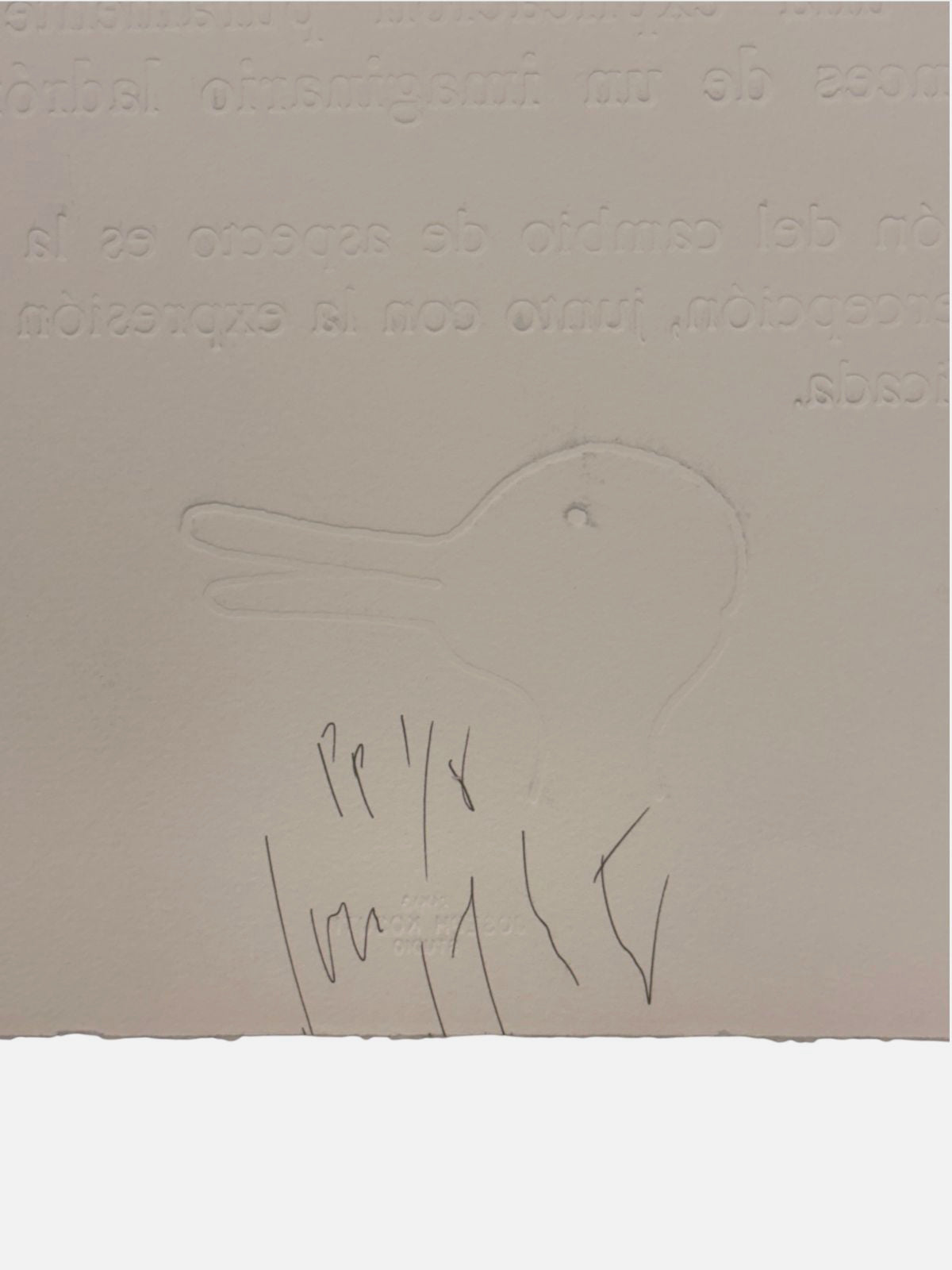 Joseph Kosuth "Borges y el Pato-Coneju" P.T. 2003 Limited Signed Wall Art, 50x50