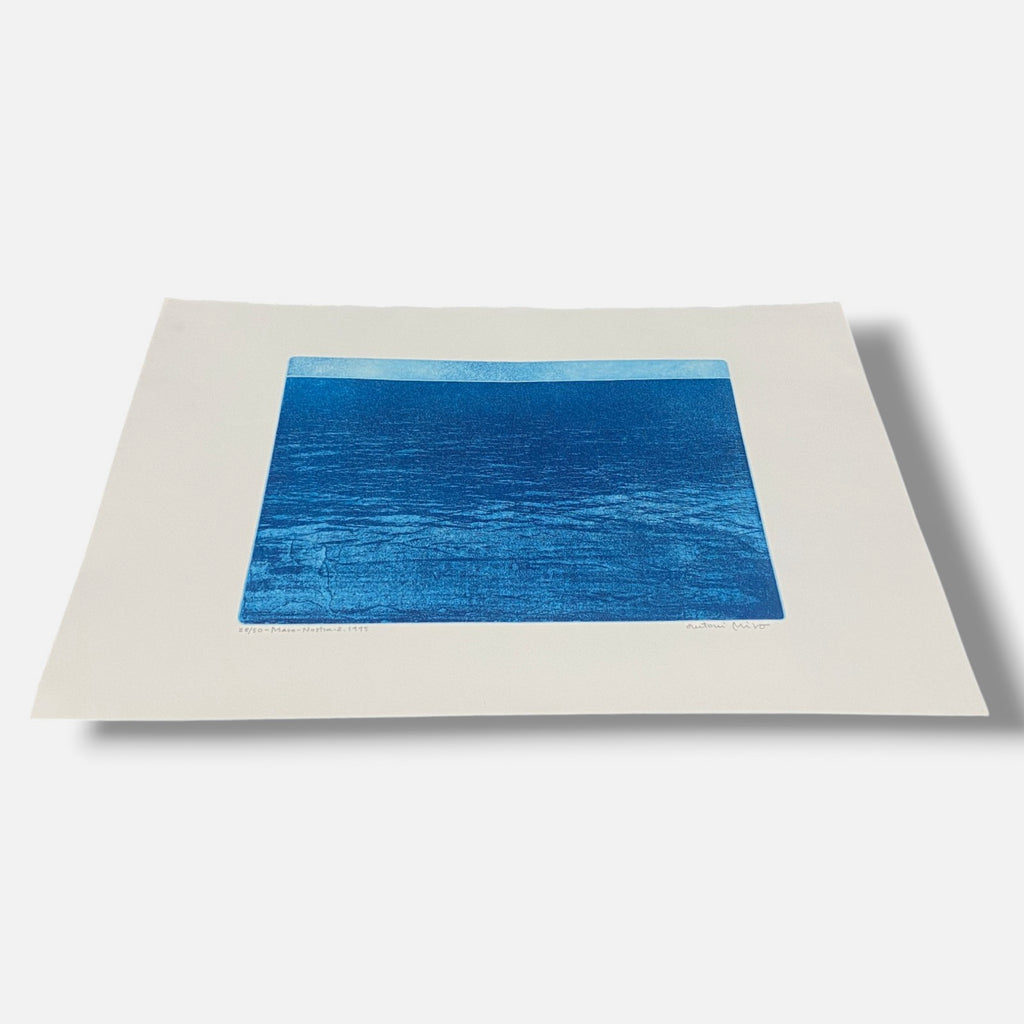 Antoni Miró Bravo "Mare Nostre II" Fine Wall Art | 15 x 21"