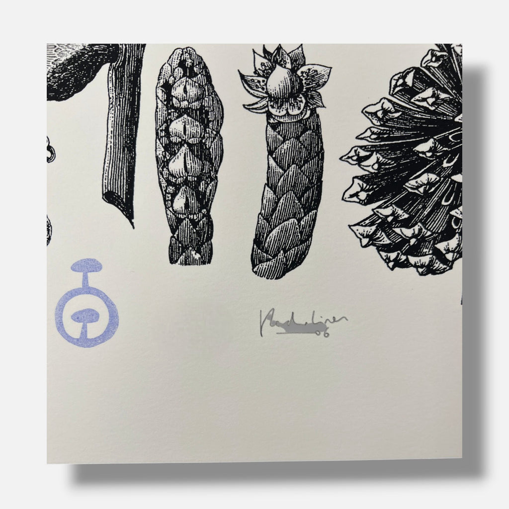Pedro Oliver "Naturbomb II" 2006 Limited Signed Wall Art | 110 x 76 cm