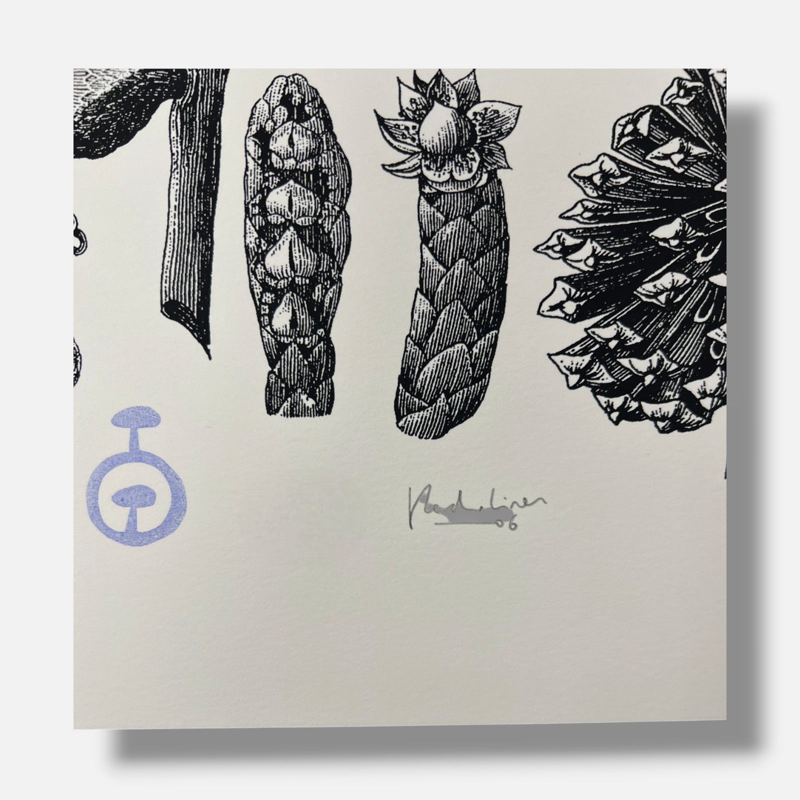 Pedro Oliver "Naturbomb II" 2006 Limited Signed Wall Art | 110 x 76 cm