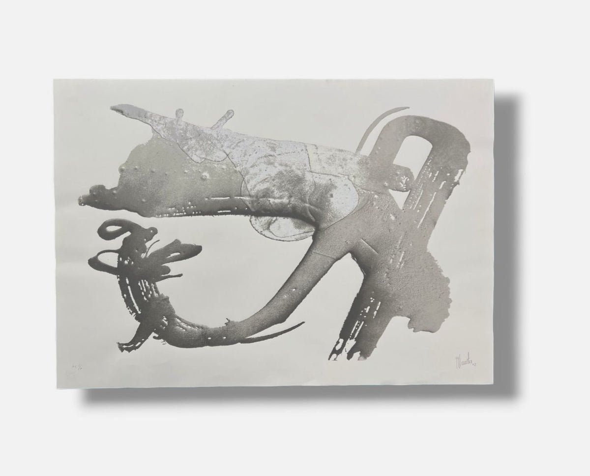 José Fuentes Esteve "Morfologia vegetal II" 2002 P.T. Signed Limited Wall Art