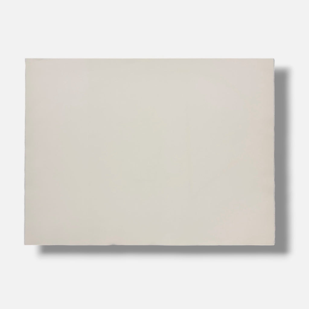 Albert Ràfols-Casamada "Vinya" H.C. 2004 Limited Signed Wall Art Print 50x65 cm