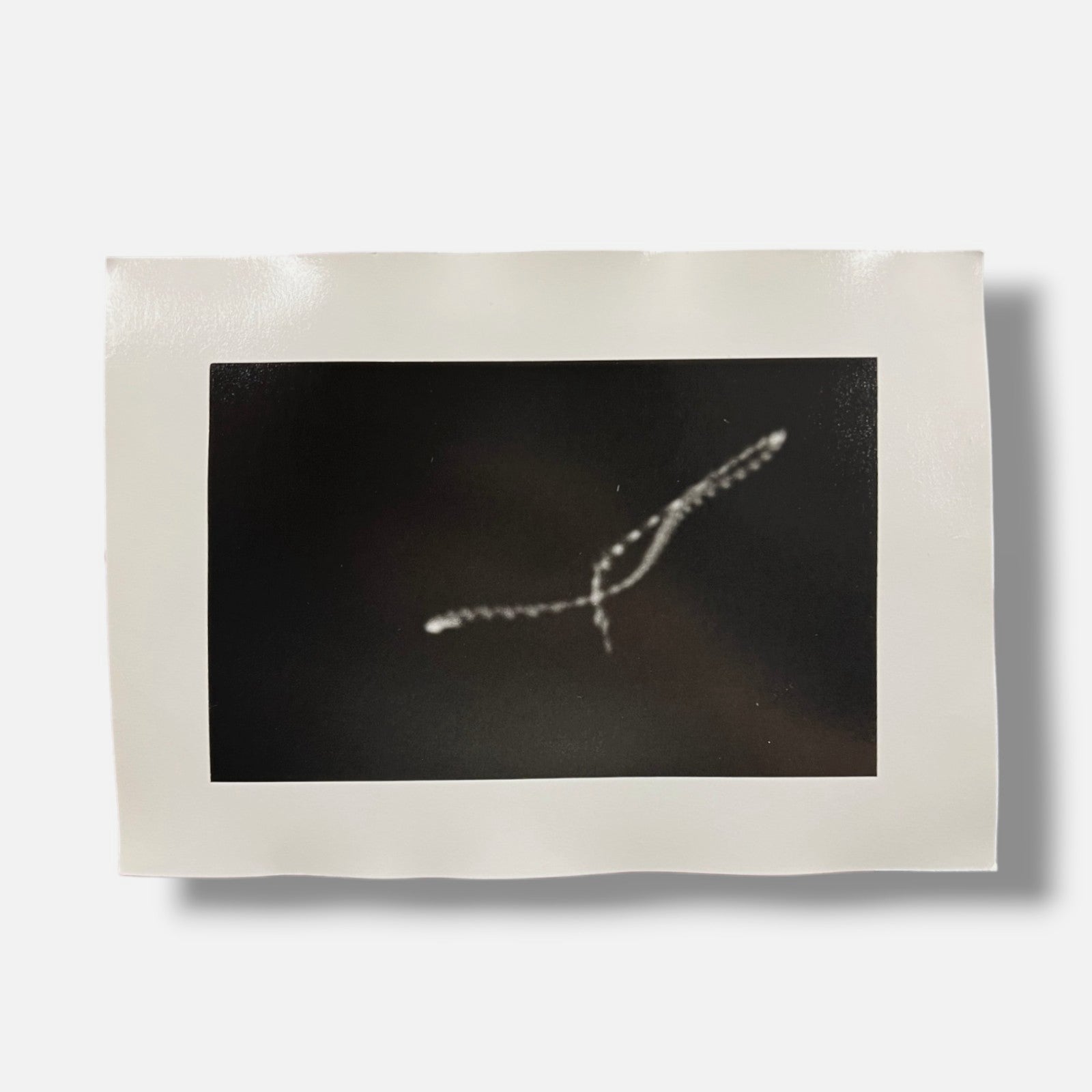 Toni Crabb "FIber 1 (Moths) IV" Limited Signed Art Photography Print, 12x17 cm