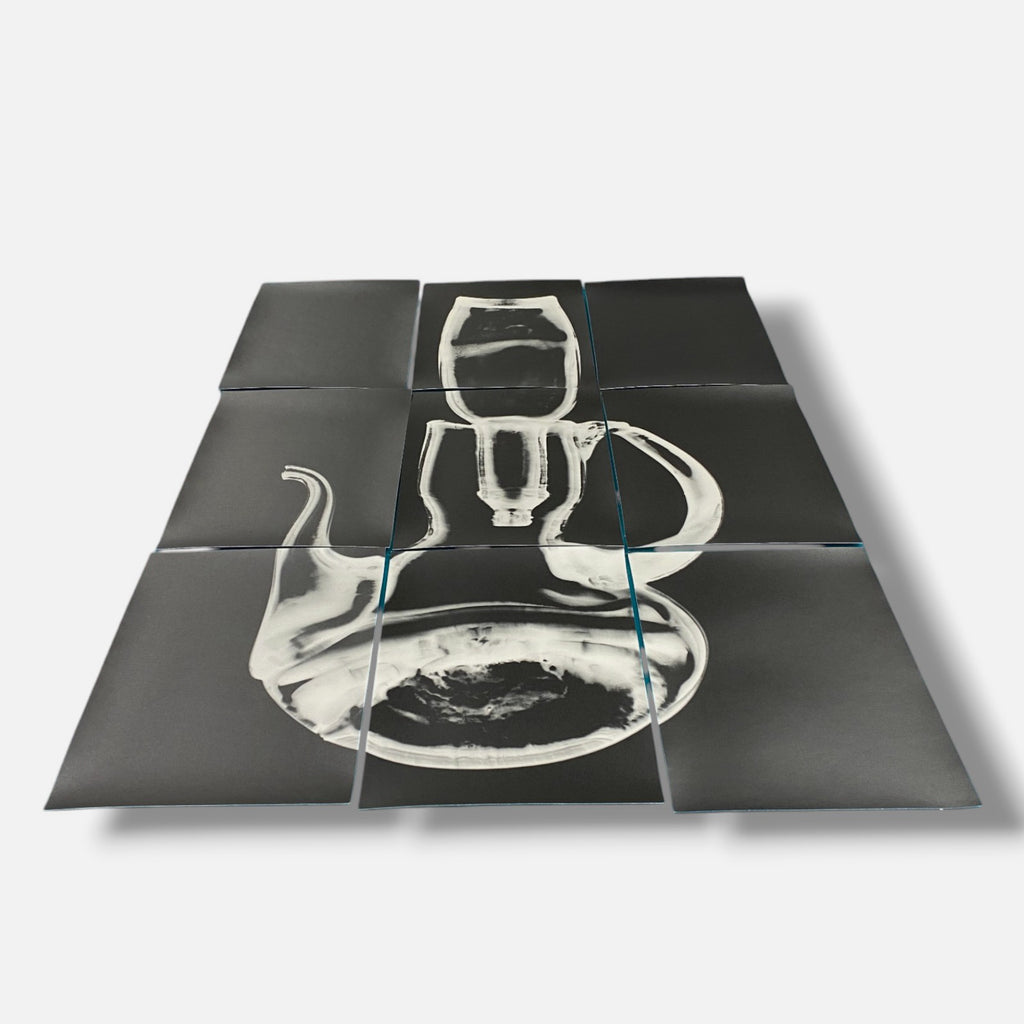 Sylvie Bussières "Sèrie Inutiles de Cristal" Foto No.1 Photogram Mural Wall Art
