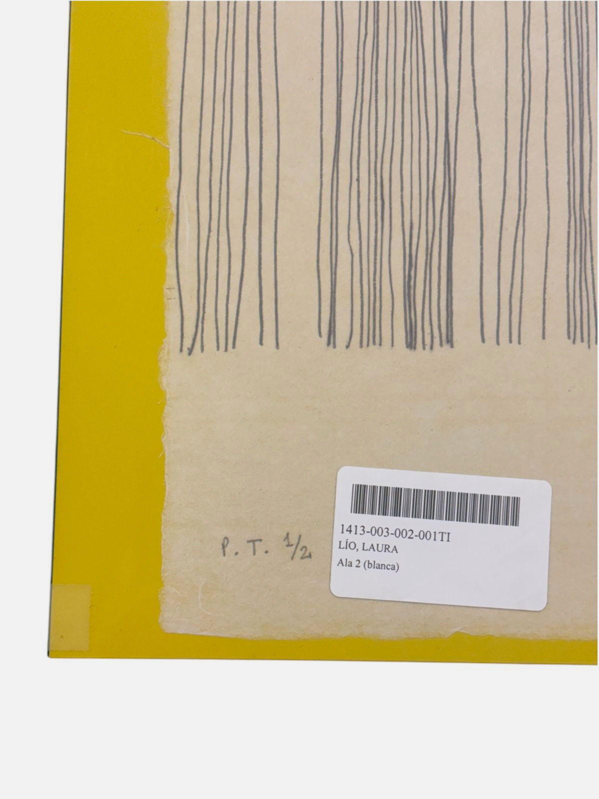 Laura Lio "Ala 2 (blanca)" 2003 P.T. Limited Signed Unframed Wall Art 98Lx65W cm