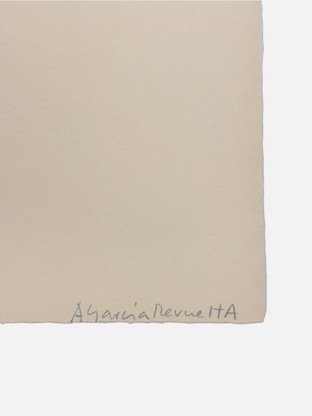 Alfredo García Revuelta "Intercambio De Fluidos" Limited Signed Wall Art 70x100