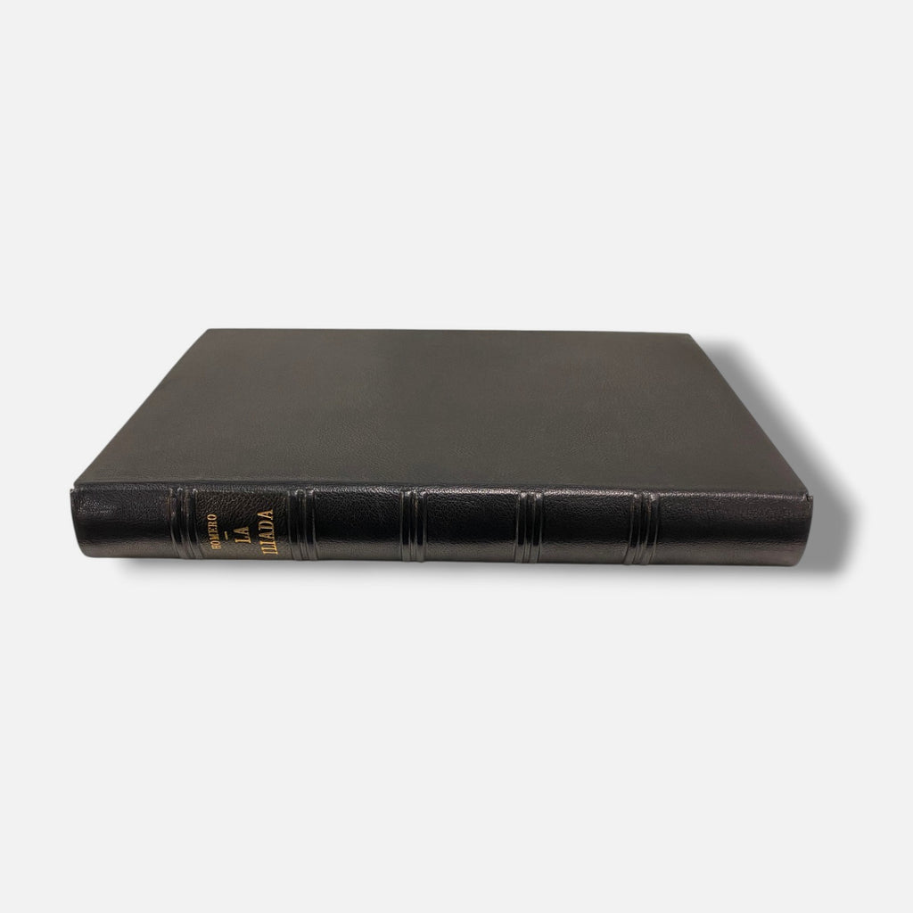 Chema Cobo "La Lliada" 1987 24-Piece Art Book Set | 67 x 53 cm