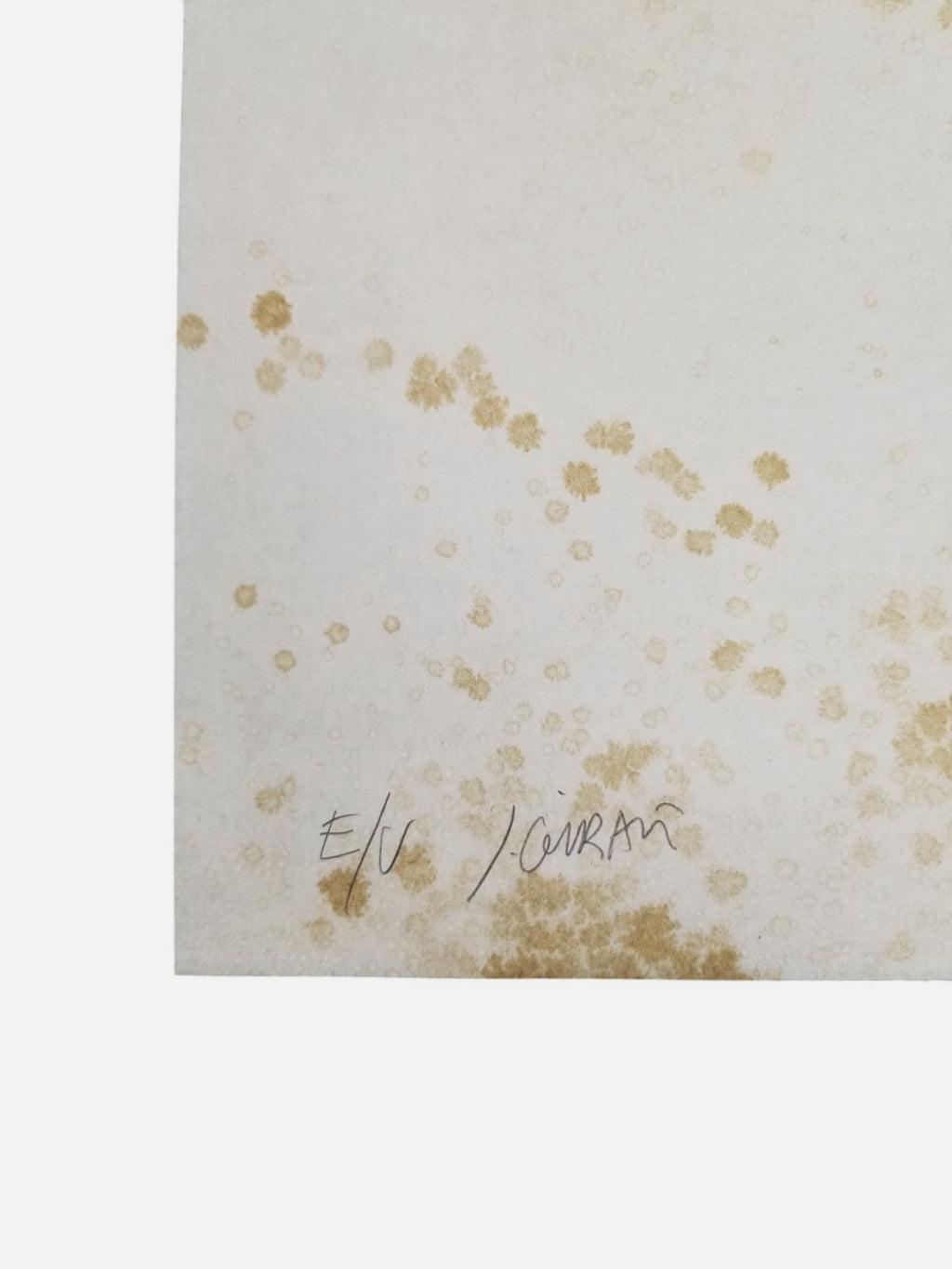 Juan Giralt Ortiz "Mandarines" 2004 E/U Limited Signed Fine Wall Art Print
