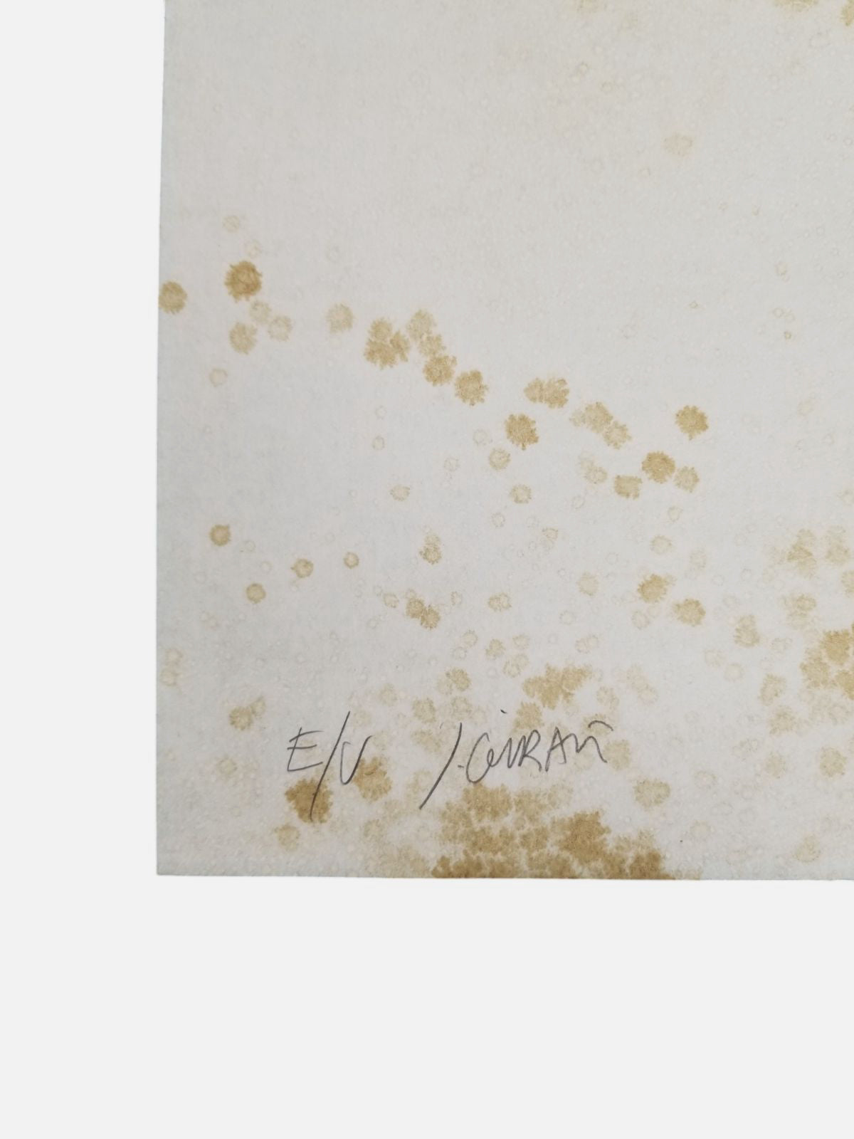 Juan Giralt Ortiz "Mandarines" 2004 E/U Limited Signed Fine Wall Art Print