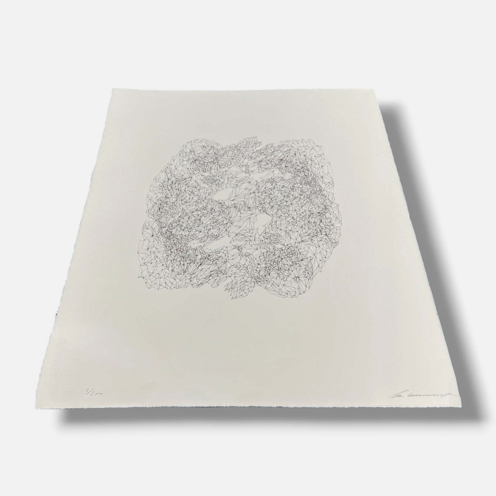 Tamara Zaitseva "Estructura Inversa III" P.T. Limited Signed Framed Wall Art
