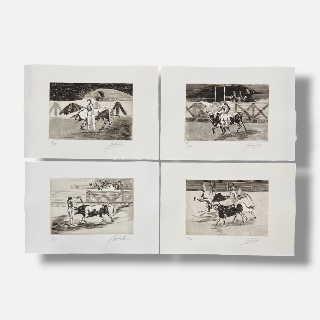 Martín Simón "Simbologias, La Tauromaquria" Limited Signed Wall Art 23-Piece Set