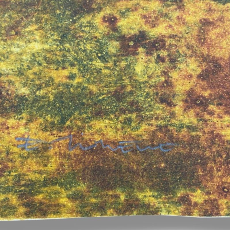 Elena Jiménez Moreno "Australia Serie: Antipodas" Signed Wall Art | 60 x 112 cm