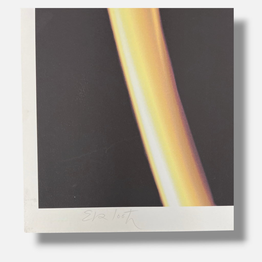 Eva Lootz "Serie Migraciones IV" 2004 Limited Signed Fine Wall Art