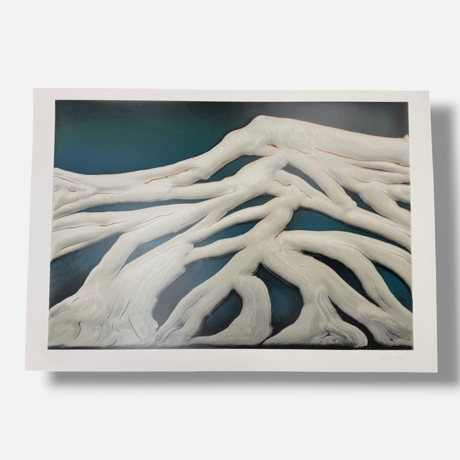 Andoni Euba Fuentes "Celosia De Ceniza" 2006 Limited Signed Wall Art