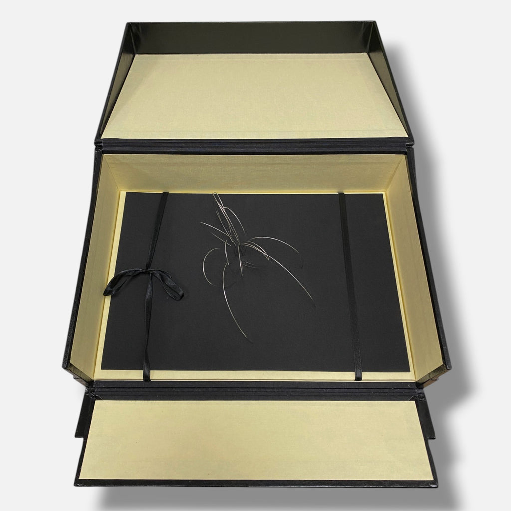 Blanca Muñoz Gonzalo "Alrededores De La Via Lactea I" 2006, Fine Box Art Piece