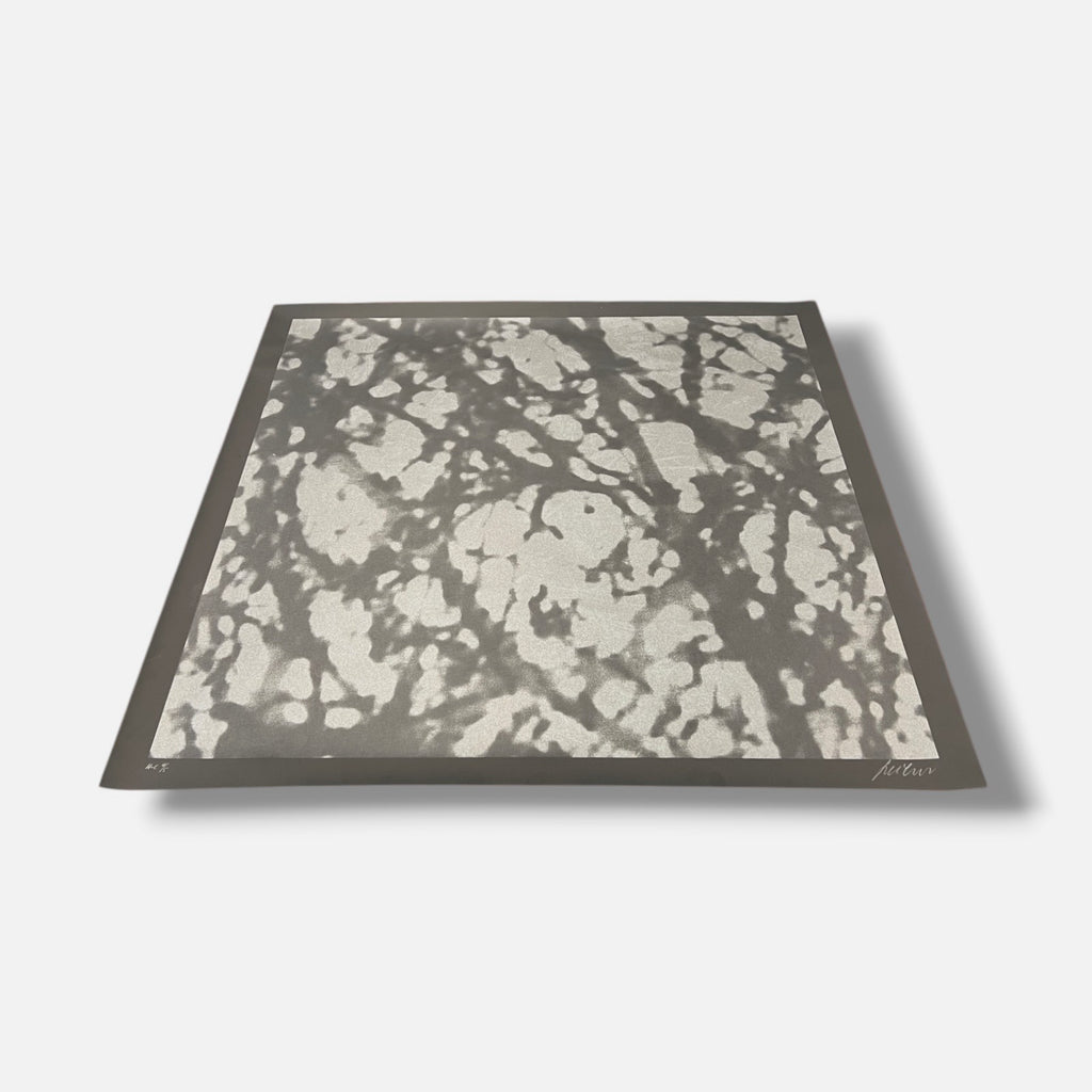 Ángeles San José "Black Trees" H.C. 2006 Limited Signed Wall Art, 80 x 80 cm