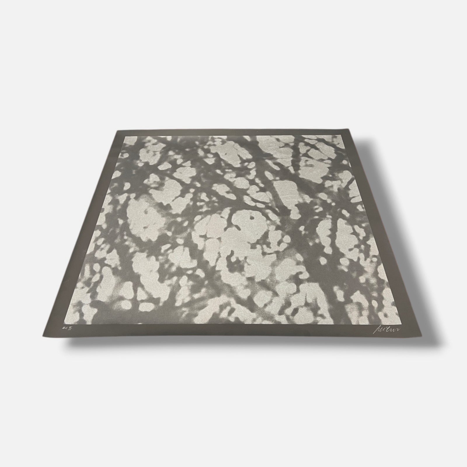 Ángeles San José "Black Trees" H.C. 2006 Limited Signed Wall Art, 80 x 80 cm