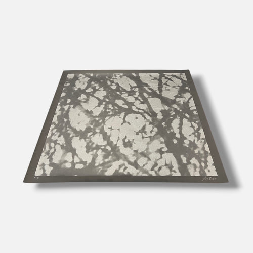 Ángeles San José "Black Trees" H.C. 2006 Limited Signed Wall Art, 80 x 80 cm