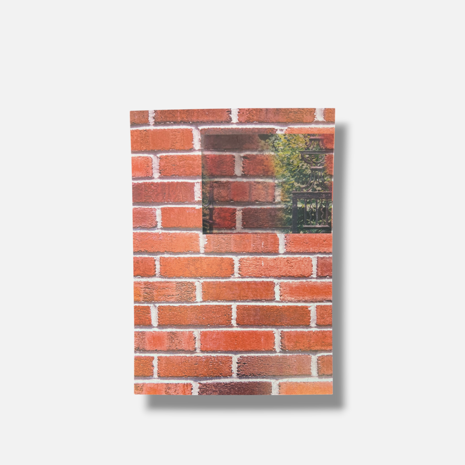 Luis Camnitzer "Sin Titulo" 2005 Limited Signed Wall Art Photography Set