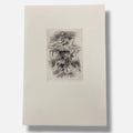 Francisco Nieva "Quimeras y Construcciones" 12-Piece Fine Art Print Set