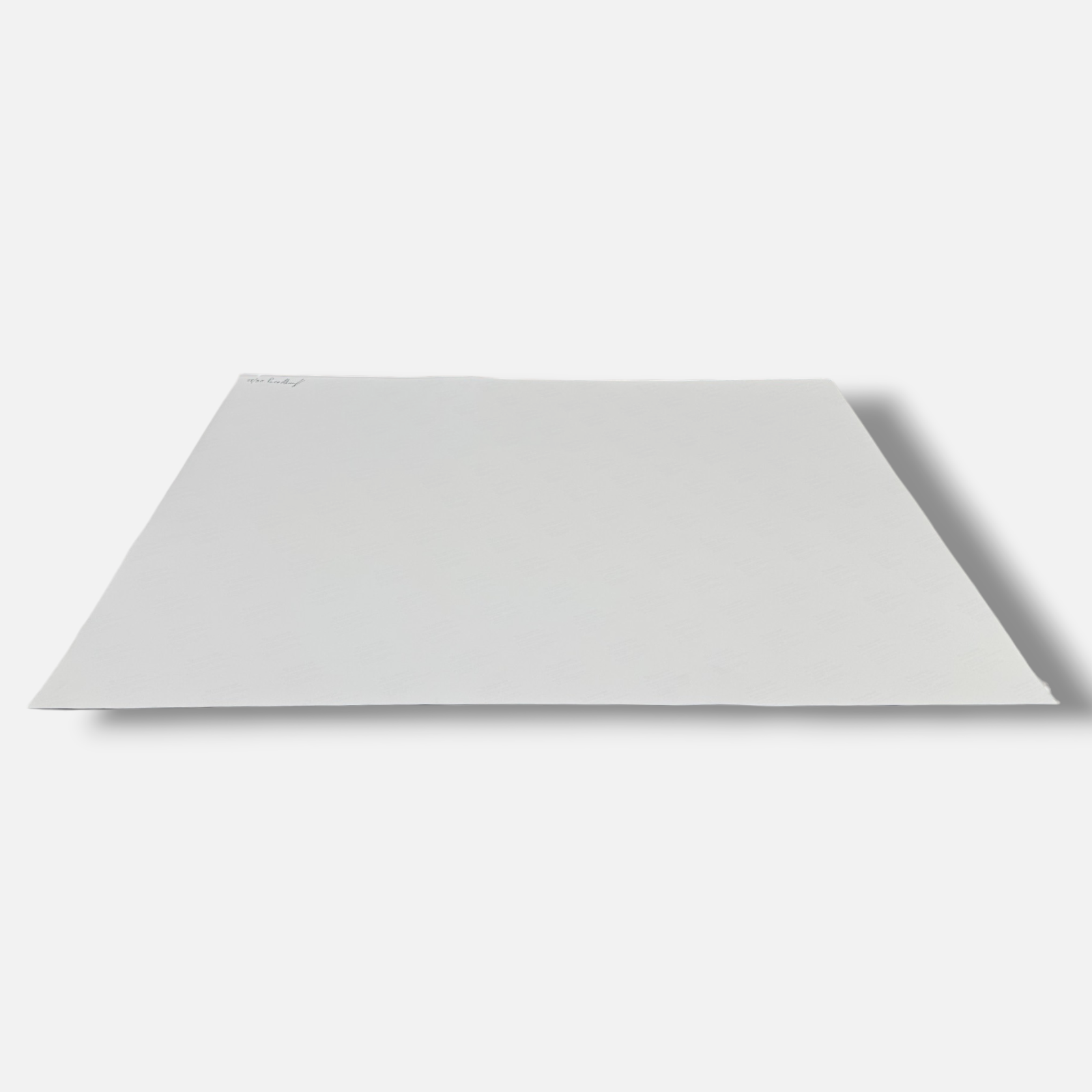 Paco González Almengló "Hikiko Mori III (Sepia)" 2003 Limited Signed Wall Art