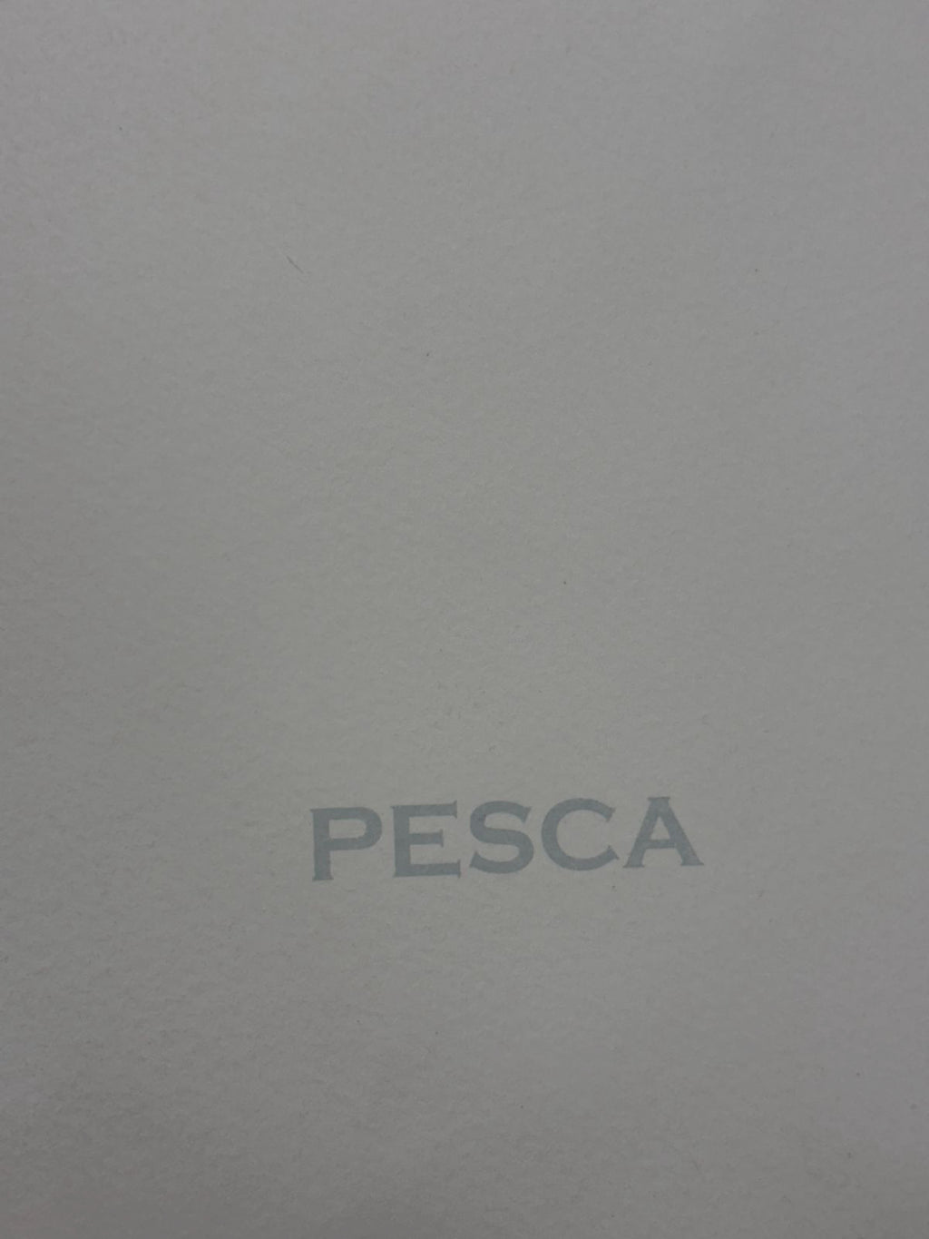 Albert Ràfols-Casamada "Pesca" H.C. 2004 Limited Signed Wall Art Print 50 x 65cm