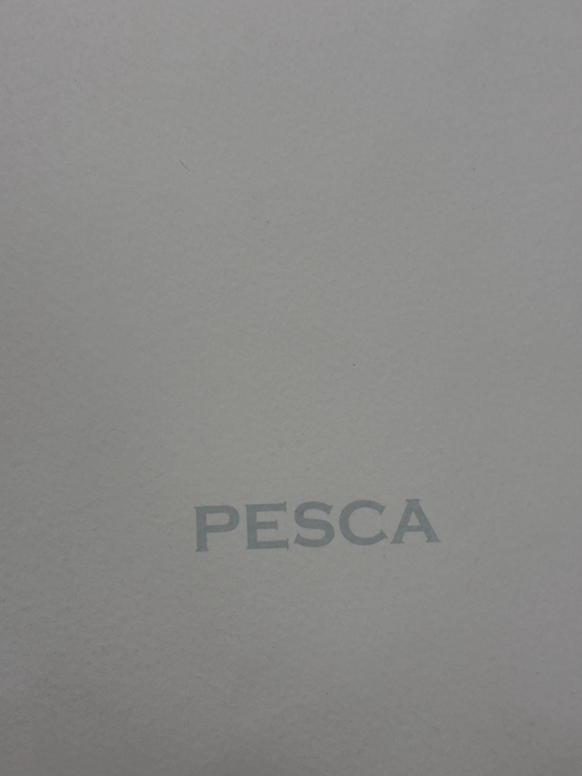 Albert Ràfols-Casamada "Pesca" H.C. 2004 Limited Signed Wall Art Print 50 x 65cm