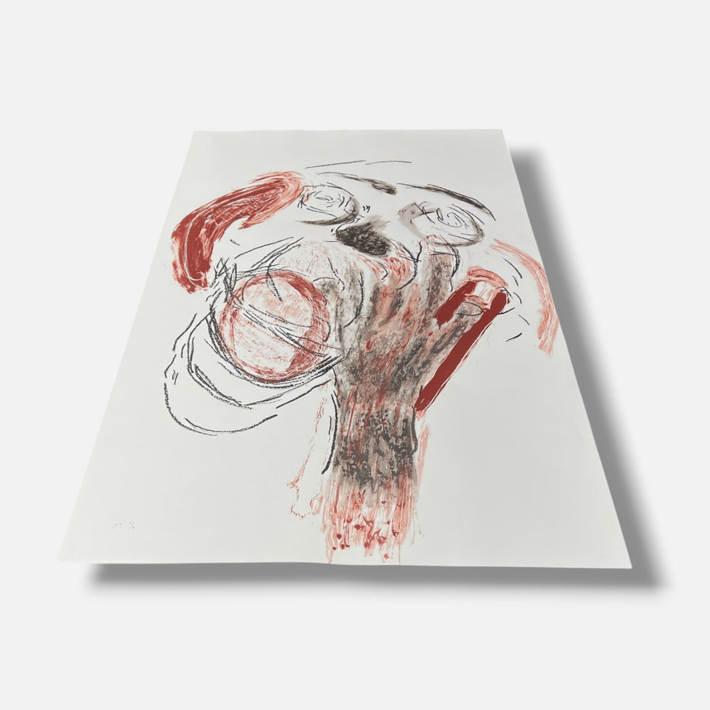 Massimiliano Frumenti "Il Cuore in Testa" P.T. Limited Signed Triptych Wall Art