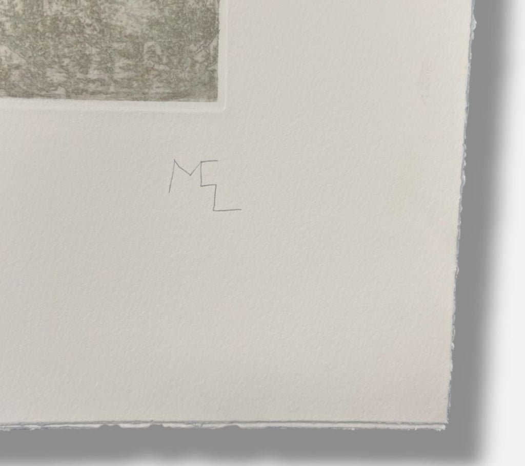 Miguel Castro Leñe "Casa Intervenida" H.C. Limited Signed Wall Art 5-Piece Set