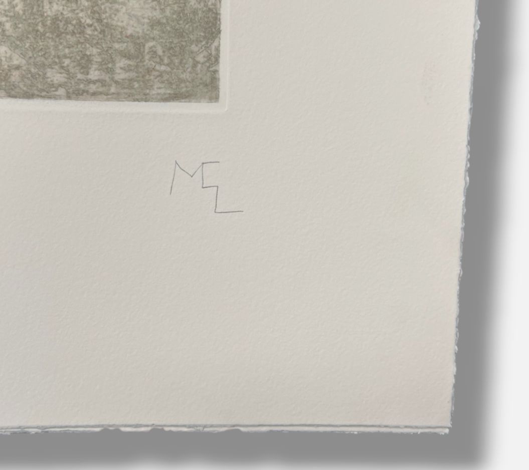 Miguel Castro Leñe "Casa Intervenida" H.C. Limited Signed Wall Art 5-Piece Set
