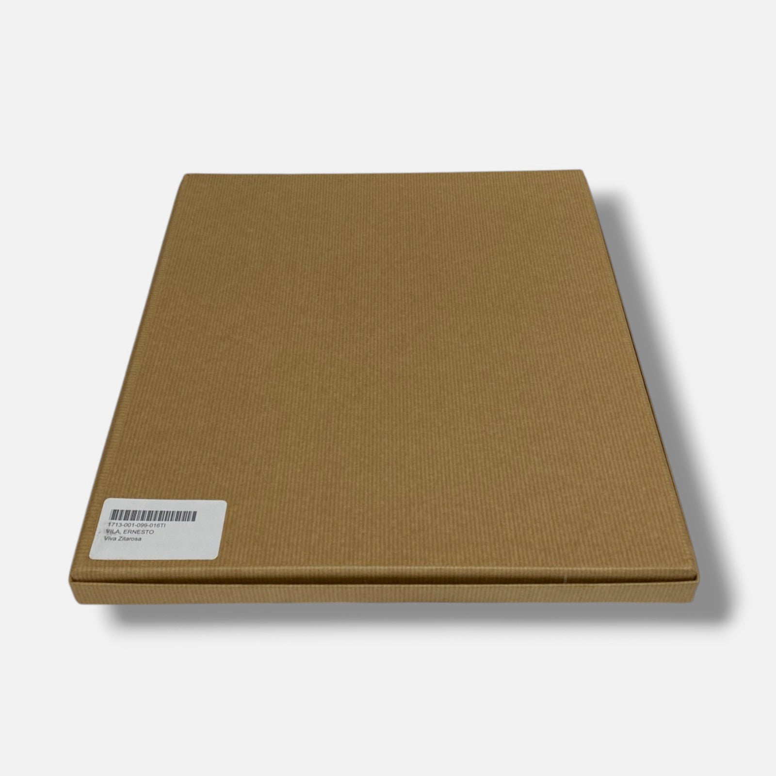 Ernesto Vila "Viva Zitarosa" Fine Wall Art | 30 x 35.5 cm