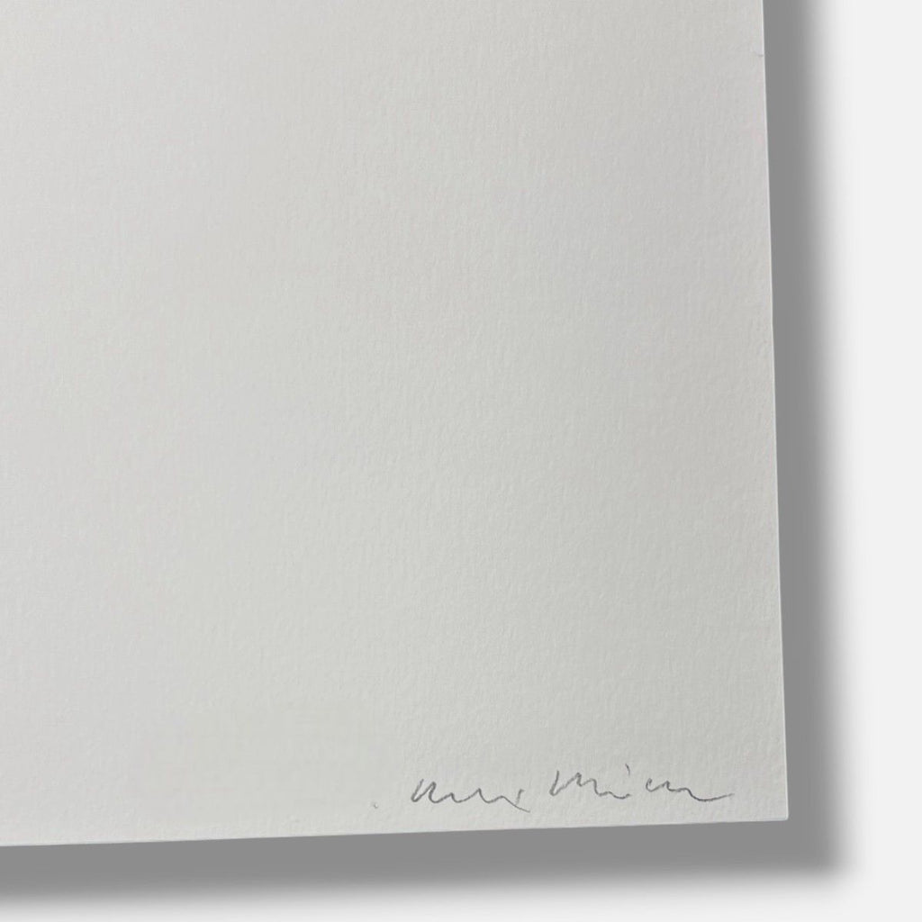 Alex Hanimann "All Has Not Been Said And Done V" 2006 Limited Signed Wall Art