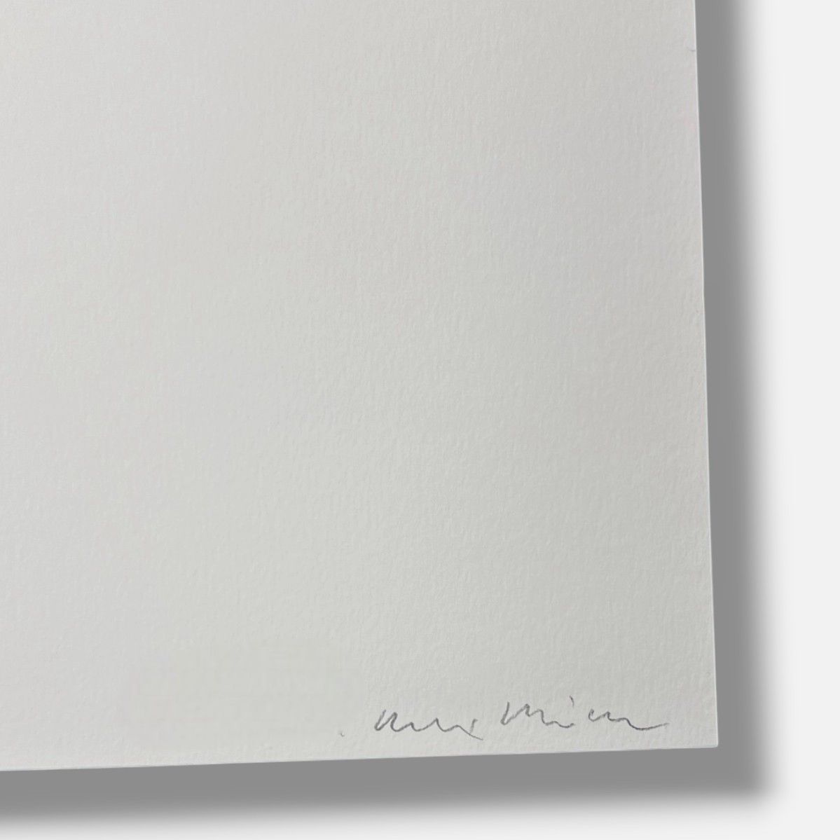 Alex Hanimann "All Has Not Been Said And Done V" 2006 Limited Signed Wall Art