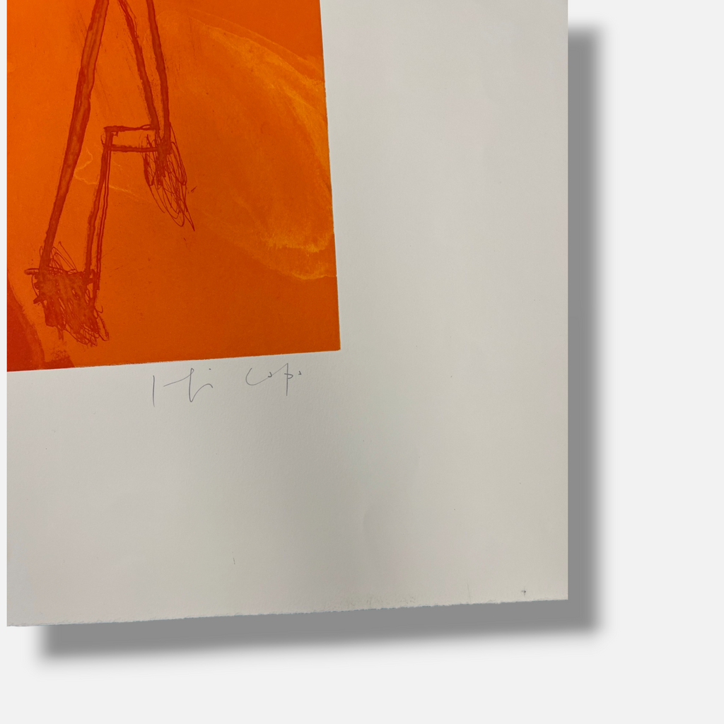 Joaquín Capa Eiriz "Orange" 2000 Limited Signed Fine Wall Art Print