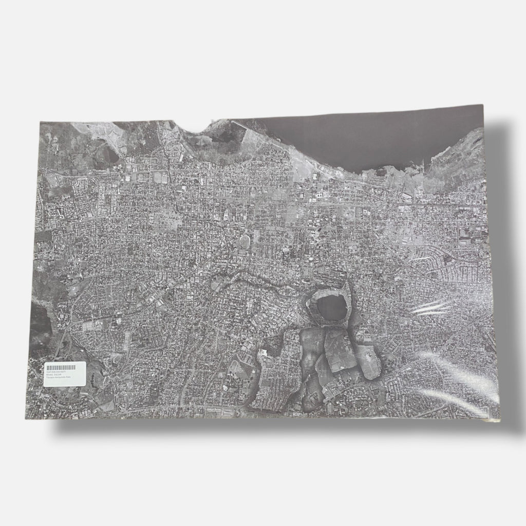 Oscar Rivas Lamus "Tiscapa manipulado - Gato" Photography Wall Art, 27.5 x 18.5"