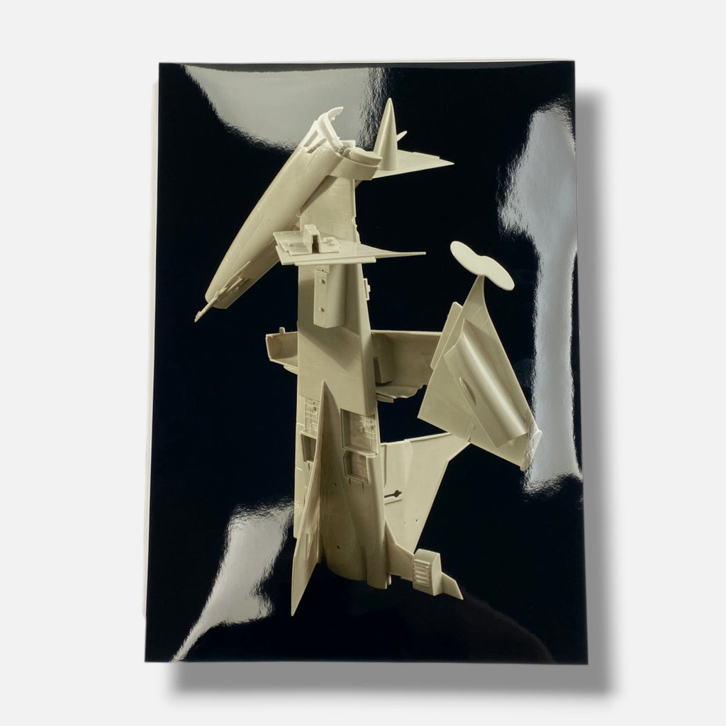 Joan Fontcuber "Pin Zhuang" 2004, Art Photography Multimedia & Book Set