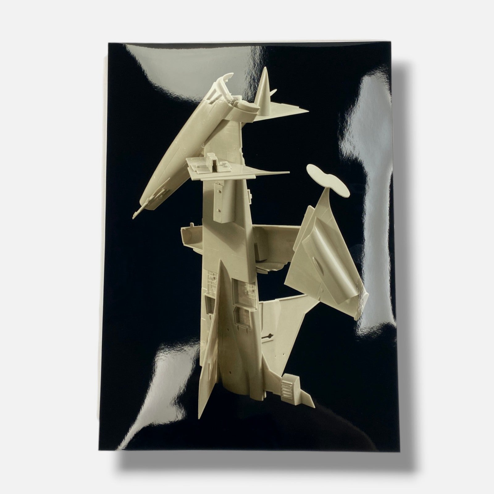 Joan Fontcuber "Pin Zhuang" 2004, Art Photography Multimedia & Book Set