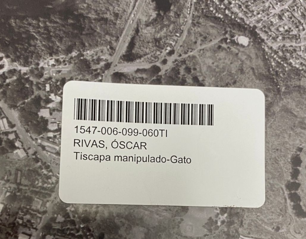 Oscar Rivas Lamus "Tiscapa manipulado - Gato" Photography Wall Art, 27.5 x 18.5"