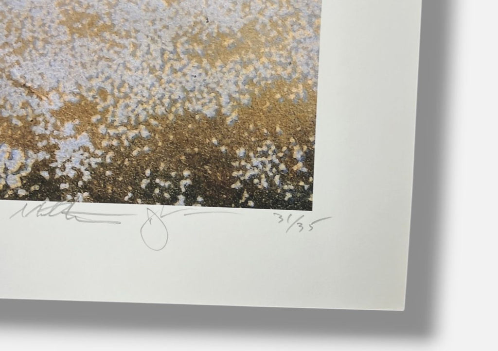 Doug and Mike Starn "Attracted to Light 19 (Ephemera)" Limited Signed Wall Art