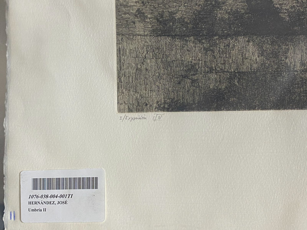 Jose Hernandez Muñoz "Umbria II" P.T. 2003 Signed Limited Fine Wall Art, 50Lx65W
