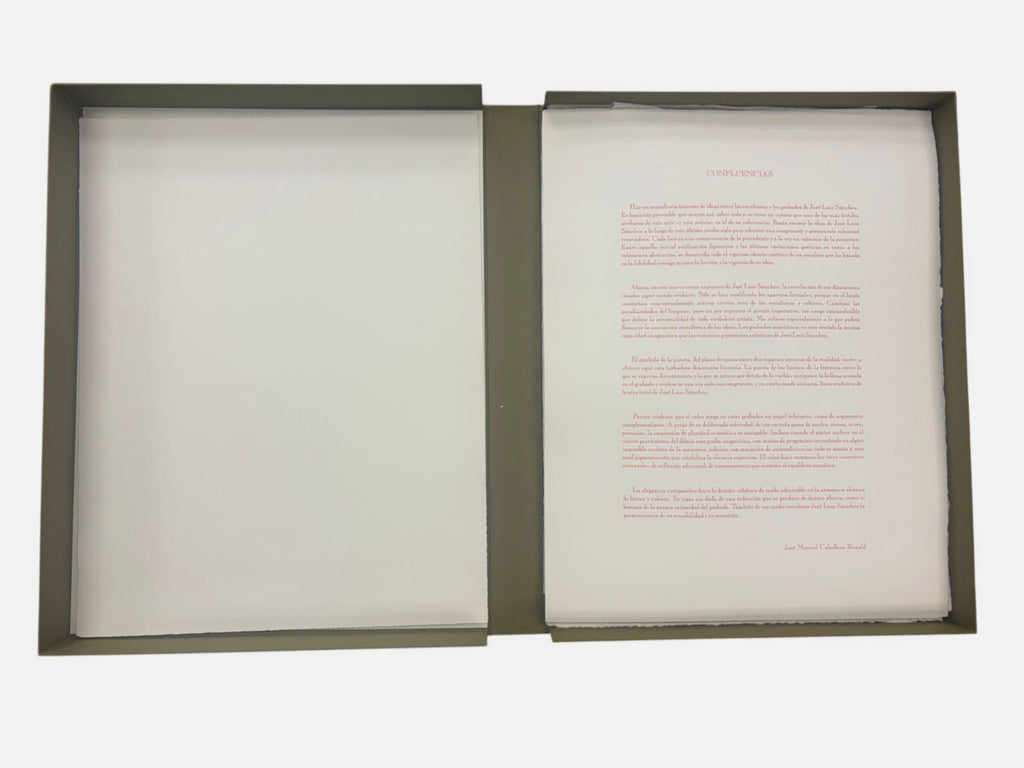 José Luis Sánchez "Confluencias" 2001 Limited Signed Wall Art Set 65L x 50W cm