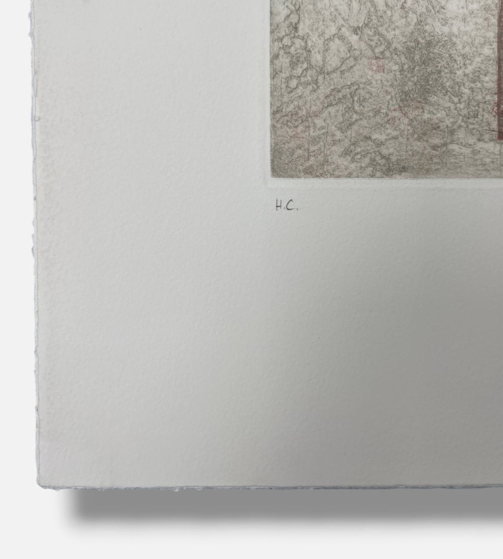 Miguel Castro Leñe "Casa Intervenida" H.C. Limited Signed Wall Art 5-Piece Set