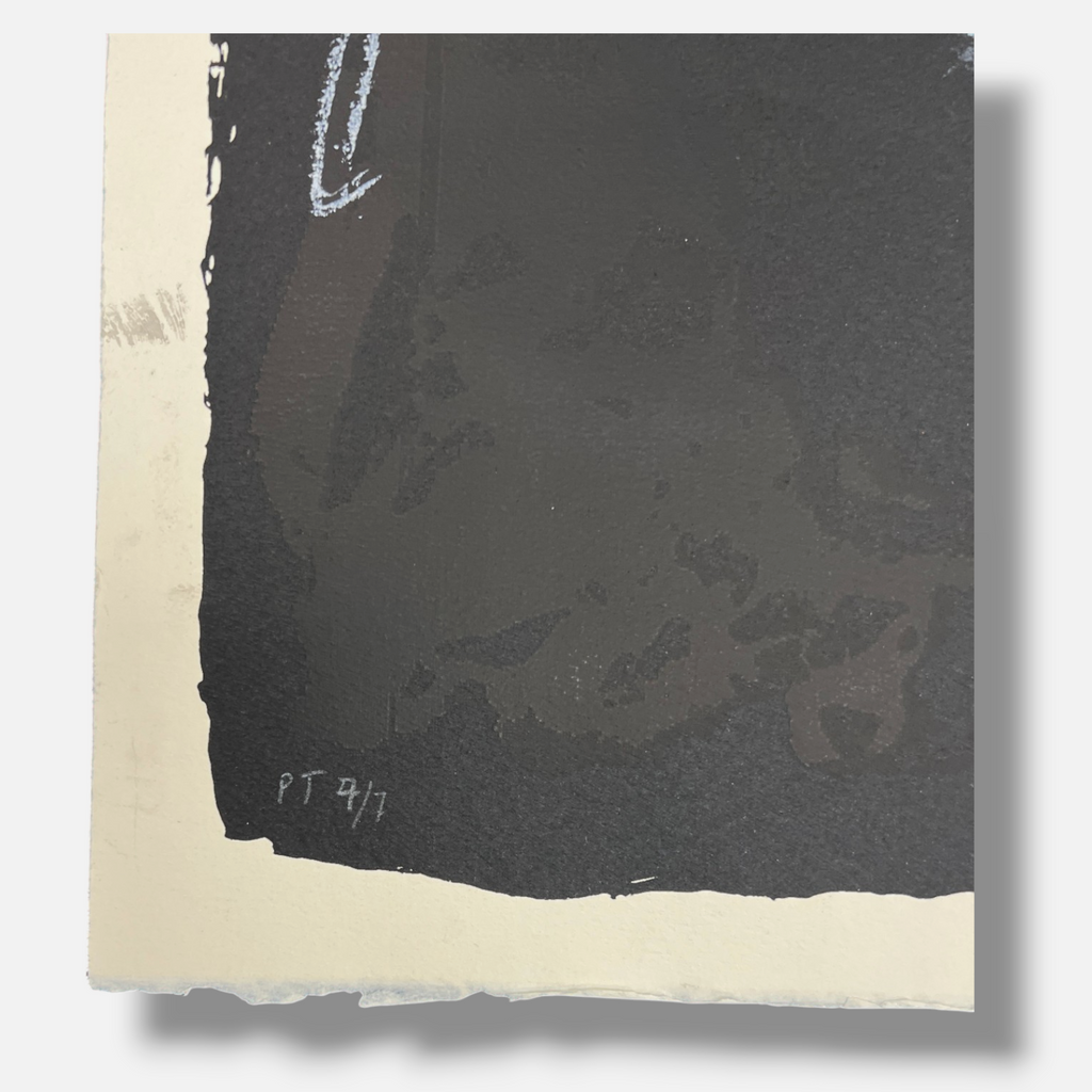 KCHO "Serie Ideas En Conficto IV" P.T. 2005 Limited Signed Fine Wall Art Print