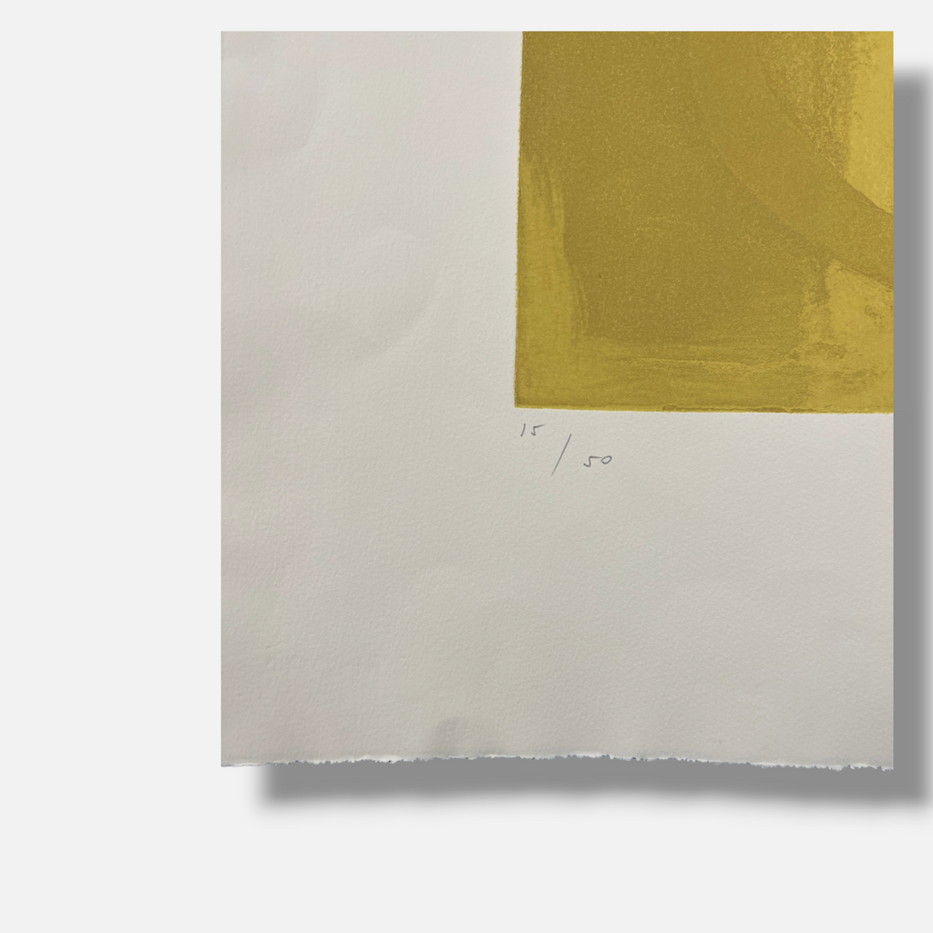 Joaquín Capa Eiriz "Interior Amarillo" Limited Signed Fine Wall Art Print