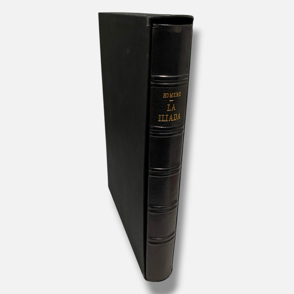 Chema Cobo "La Lliada" 1987 24-Piece Art Book Set | 67 x 53 cm