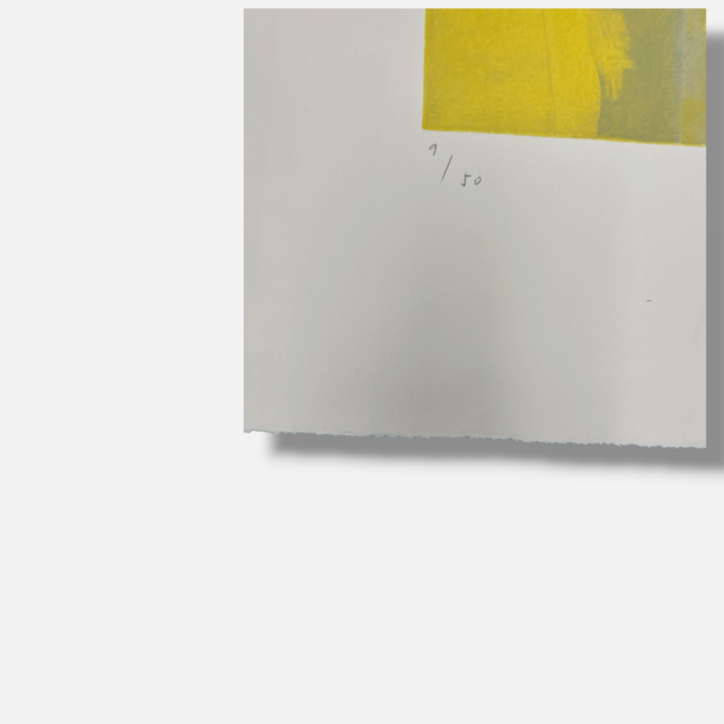 Joaquín Capa Eiriz "Yellow Grey" Limited Signed Fine Wall Art Print