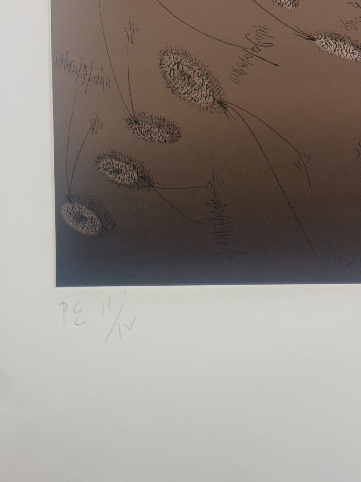 Evru "Arliedru" P.E. 2005 Signed Limited Unframed Fine Wall Art 106L x 76W cm