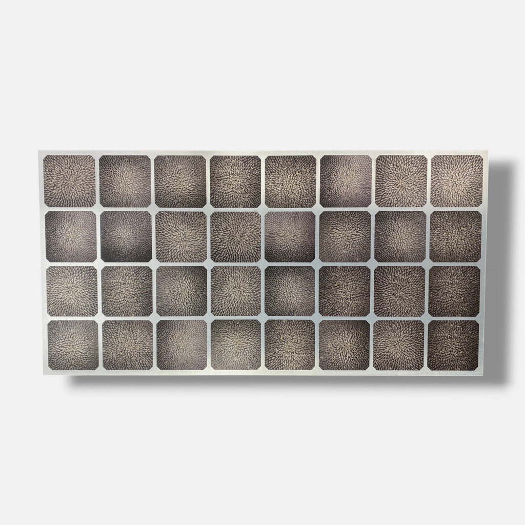 Eugenio Marchesi Hércules de Sálazar "Panel Solar" Fine Wall Art | 66 x 130 cm